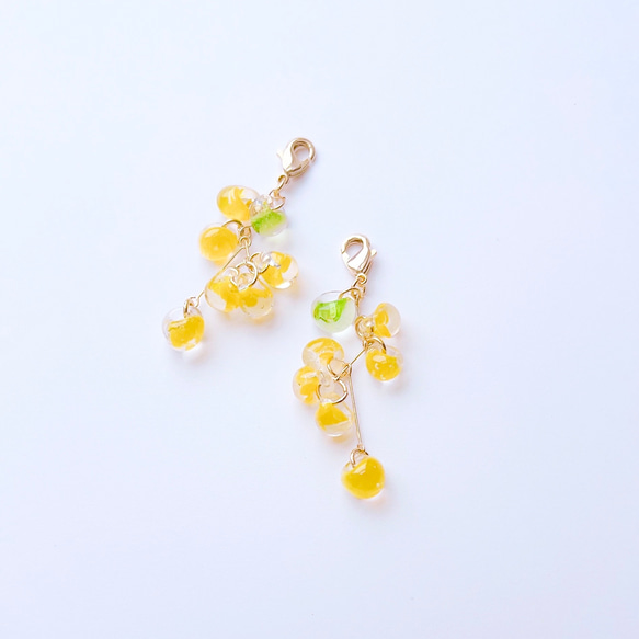 ✴︎small spring✴︎ミモザ✴︎ ピアスみたいなマスクチャーム【Hijiri】ミモザ　黄色　春アクセサリー 8枚目の画像