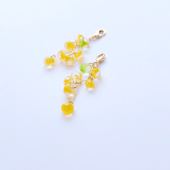 ✴︎small spring✴︎ミモザ✴︎ ピアスみたいなマスクチャーム【Hijiri】ミモザ　黄色　春アクセサリー 1枚目の画像