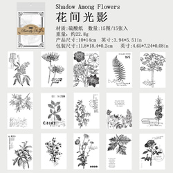  第3張的照片