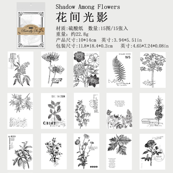  第3張的照片