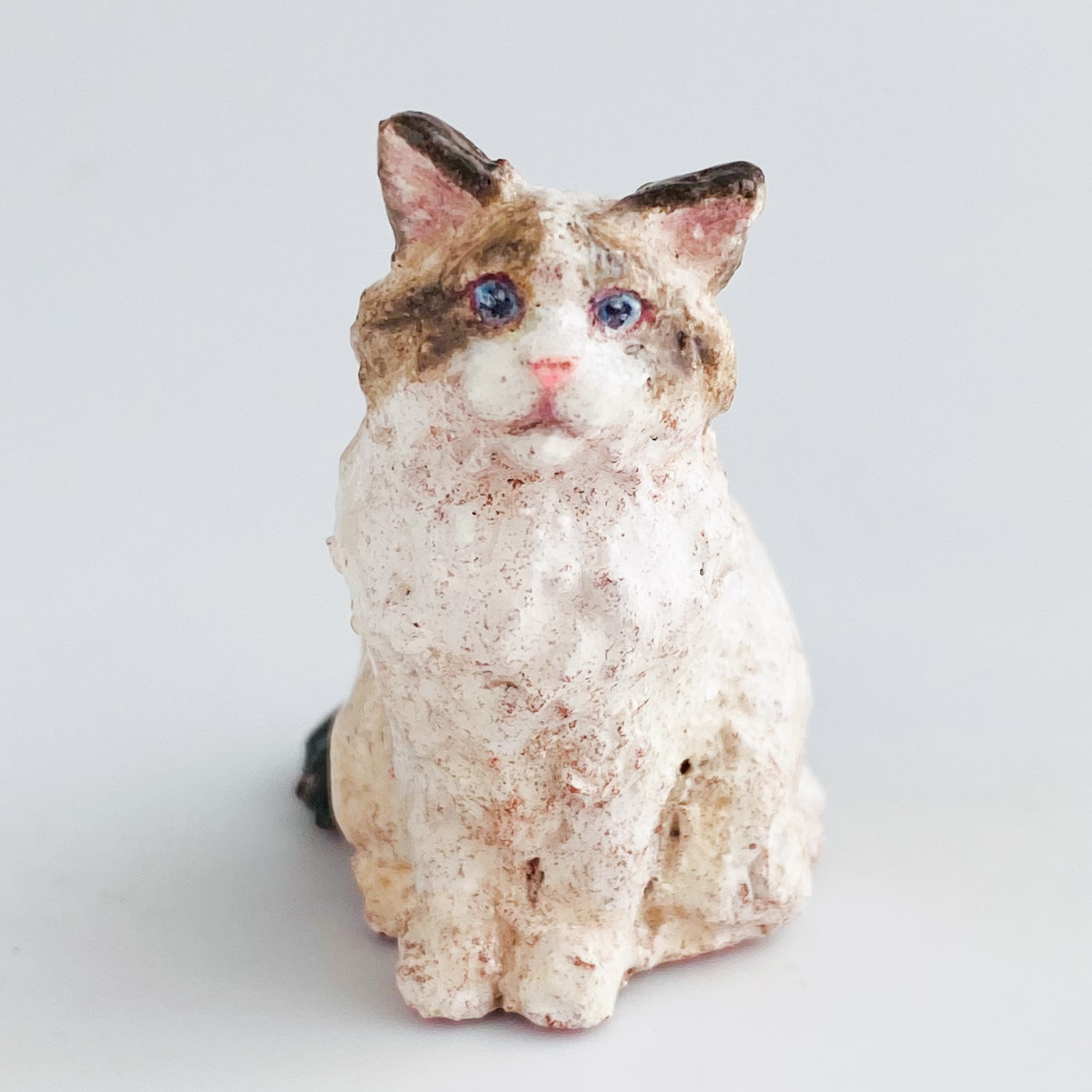 ラグドール（Ragdoll）