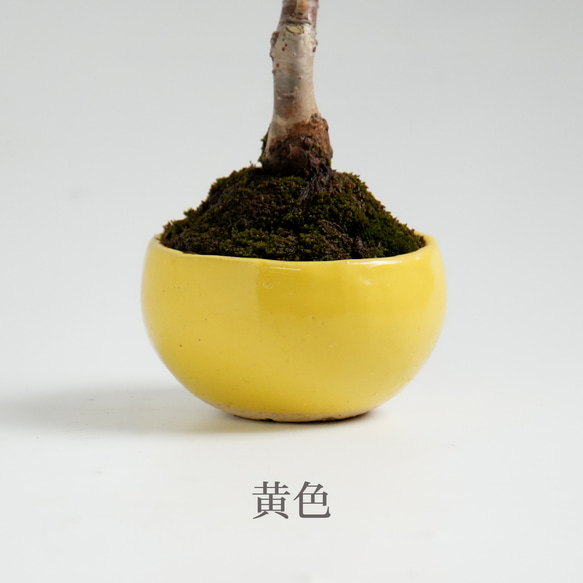  第10張的照片