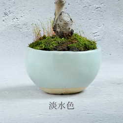  第8張的照片