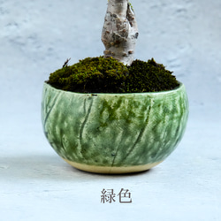  第11張的照片