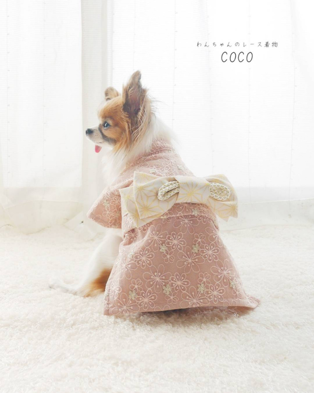 【犬服着物】ゴールドきらめく可憐なお花  レース着物 ＊ピンク×ピンク＊