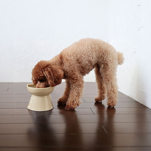 【名入れ】犬好きの犬好きによる犬好きの為のフードボウル イヌ クリーム