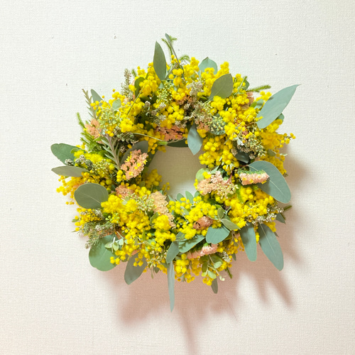 ミモザラウンドリース　ポポラス＆スターチスOR ミモザラウンドリース ポポラス＆スターチスOR リース