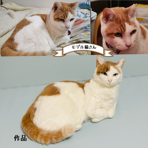 羊毛フェルト　オーダー　猫　チャロページ オーダー猫のチャチャさん。とてもキュートな猫さんで男の子