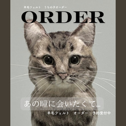 うちの子風羊毛フェルト猫 ArIsA様オーダー うちの子オーダー リアル猫 羊毛フェルト ねこ ペットロス 猫 うちの子