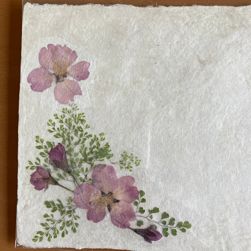 春 桜の花のカード 陽光桜の押し花を美濃手漉き和紙 命名書や
