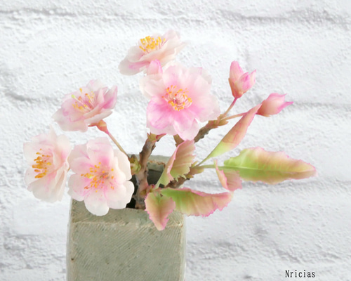 564f5eb51cfaa2dbf999101dbba064