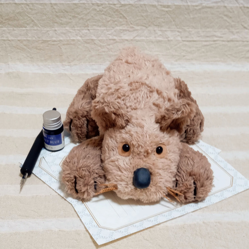 伏せ犬(ボサボサタイプ) ぬいぐるみ むかしトンボ工房 通販 19050706