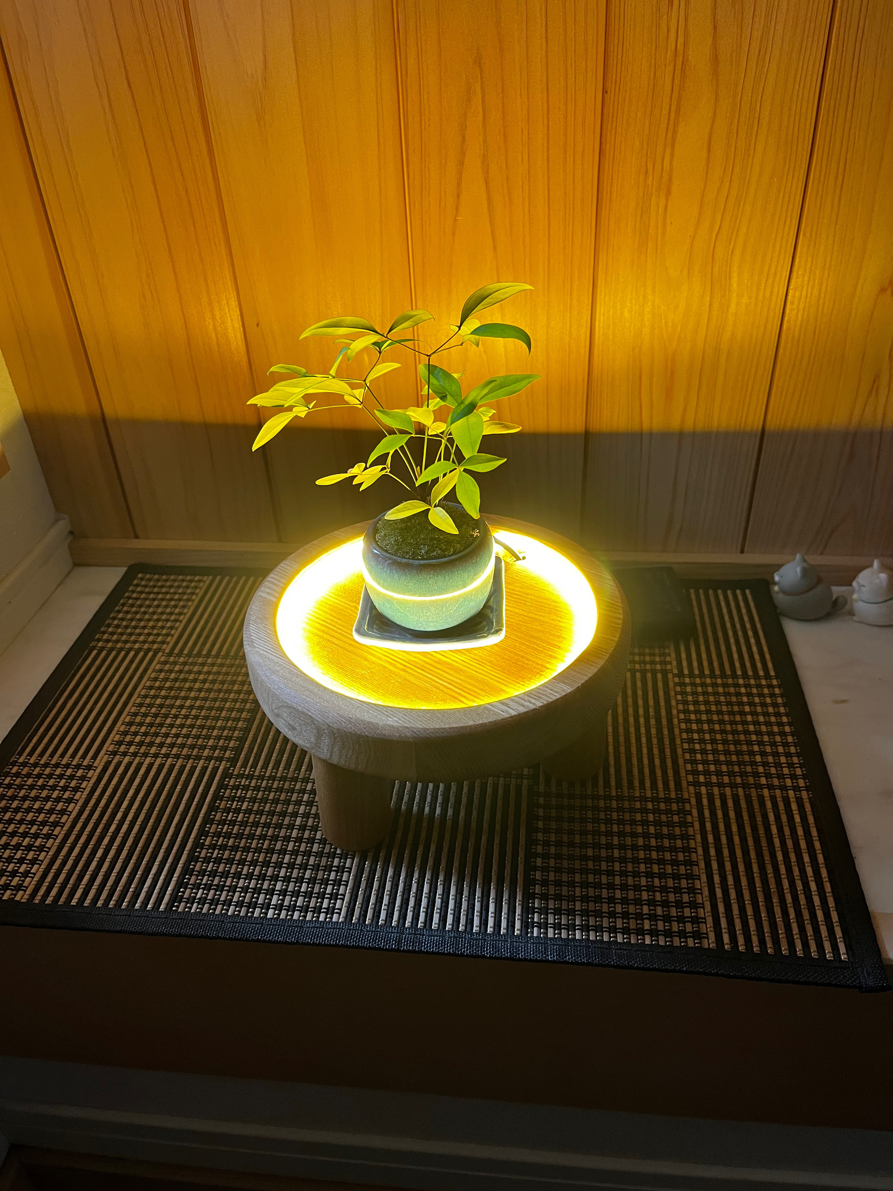 木製丸型飾り台　インテリア　照明