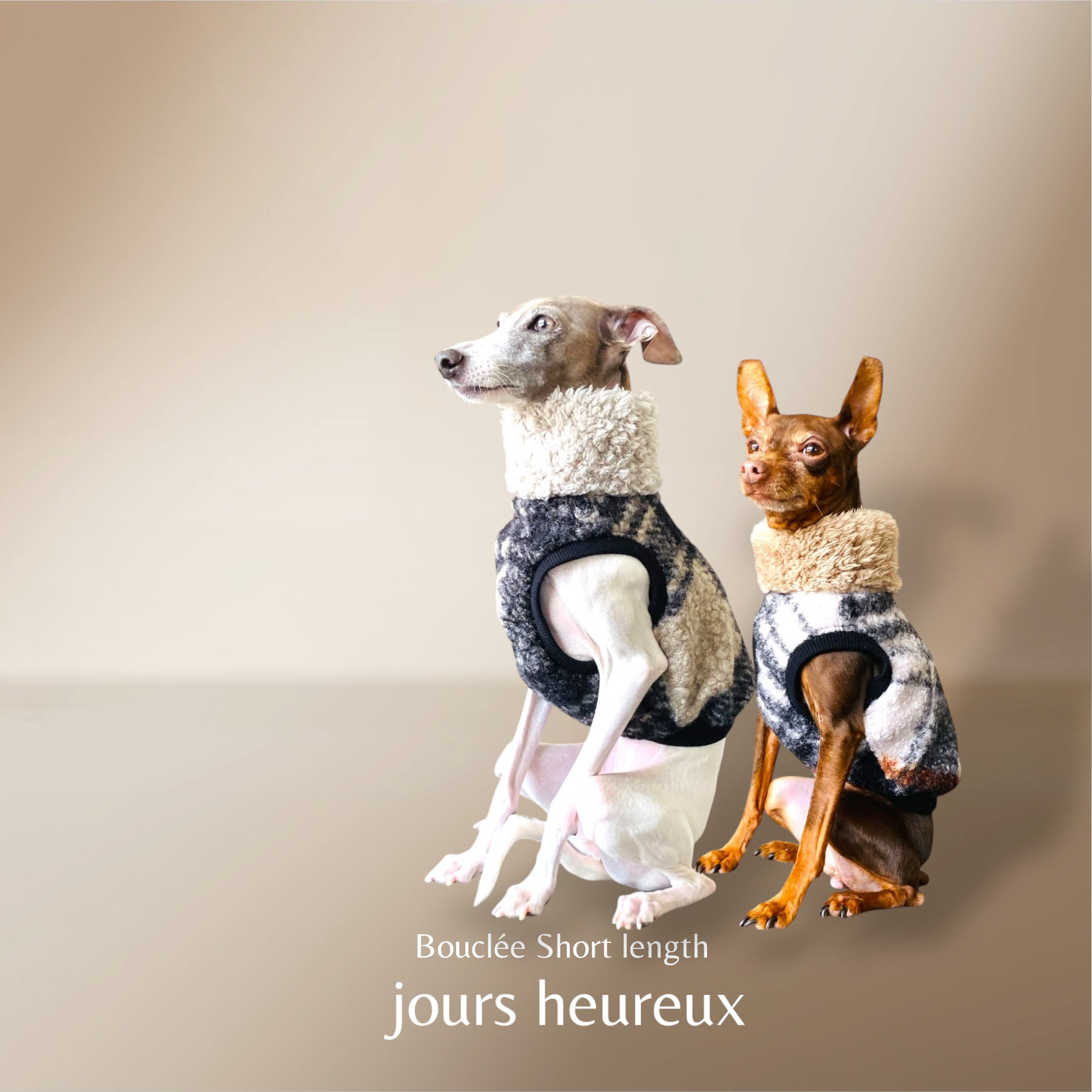 【イタグレ ウィペット】Bouclée Short length