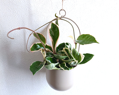 618ff05e48b8c3b113032f8512f8d4