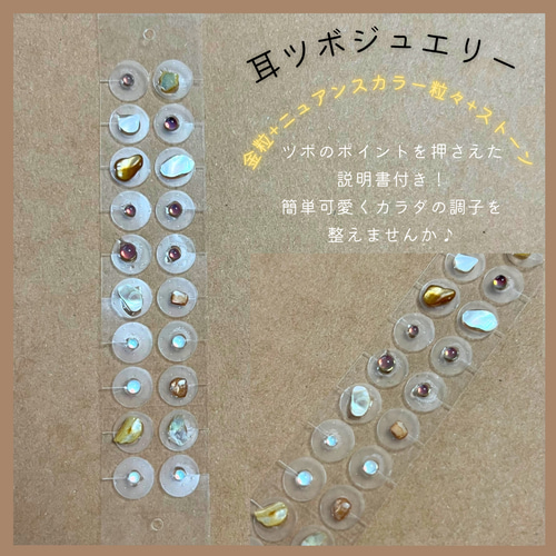 耳つぼジュエリー カウンセリングシート/同意書/カルテ/サロン名 耳つぼジュエリー カウンセリングシート/同意書/カルテ/サロン名