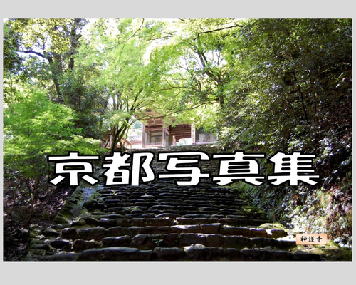 京都写真集」神社仏閣、その他街並み写真150カット、A5製本 写真