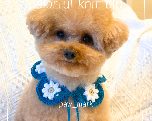 ☆ ⭐N.T⭐様　ハンドメイド犬服ニット ☆ 02a45c7235a3e5d9f7f5480cf300f2