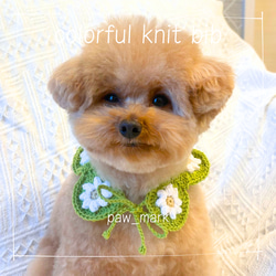 ブルー】 カラフルニットビブ 犬 スタイ オーダーメイド ペット服