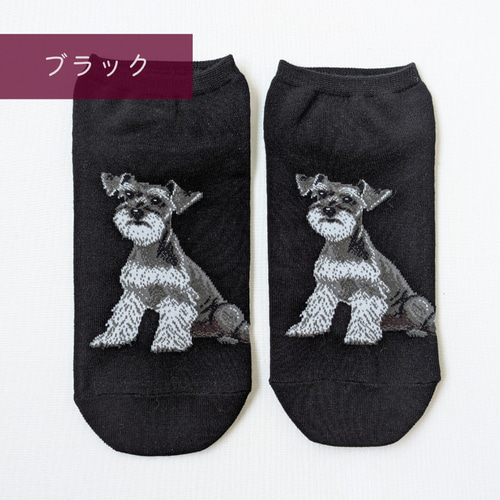 シュナウザー❤️くつしたわんこ シュナウザー❤️くつしたわんこの通販 by ジキル🐾ハイド's