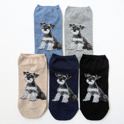 シュナウザー❤️くつしたわんこ シュナウザー❤️くつしたわんこの通販 by ジキル🐾ハイド's