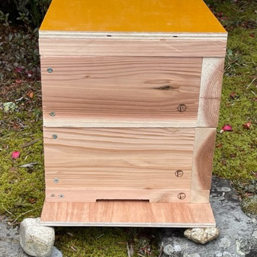 日本 みつばち 蜜蜂 ミツバチ 養蜂 飼育箱 重箱式 巣箱 待ち箱 2段
