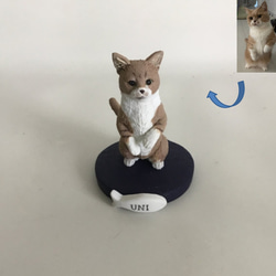 バリ バリ島 クタ チャングー サーフィン 証明 看板 置物 雑貨 ライトBOX Amazon.co.jp: バリ バリ島 クタ チャングー サーフィン 証明