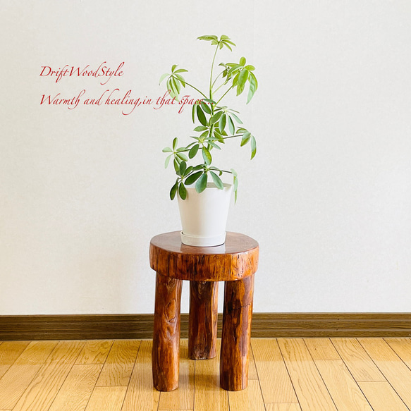 流木インテリア 大型流木から切り出した丸太のベンチ スツール テーブル 椅子 ベンチ 木製 N24 1枚目の画像