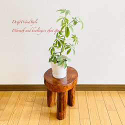 流木インテリア 大型流木から切り出した丸太のベンチ スツール テーブル 椅子 ベンチ 木製 N24 4枚目の画像