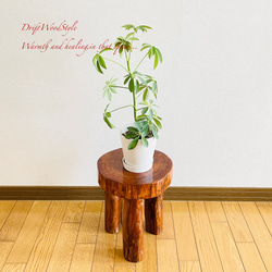 流木インテリア 大型流木から切り出した丸太のベンチ スツール テーブル 椅子 ベンチ 木製 N24 3枚目の画像