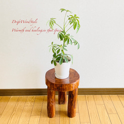 流木インテリア 大型流木から切り出した丸太のベンチ スツール テーブル 椅子 ベンチ 木製 N24 2枚目の画像