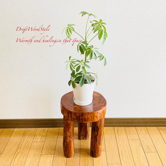 流木インテリア 大型流木から切り出した丸太のベンチ スツール テーブル 椅子 ベンチ 木製 N24 2枚目の画像