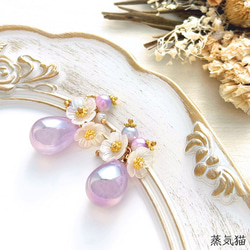 新品未使用⭐️限定品❣️純銀製銀貨✨庭猫 フィジー1オンスカラー版 銀貨】庭猫 フィジー 2022年 1オンス シルバーコイン カラー版