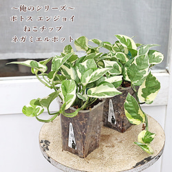 869f8b959113d2db7896730dbcb57b