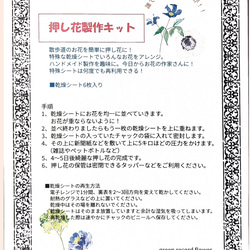 聖なる樹」パロサント 神秘の香木 自然な香り ガラスケースに（7本入り