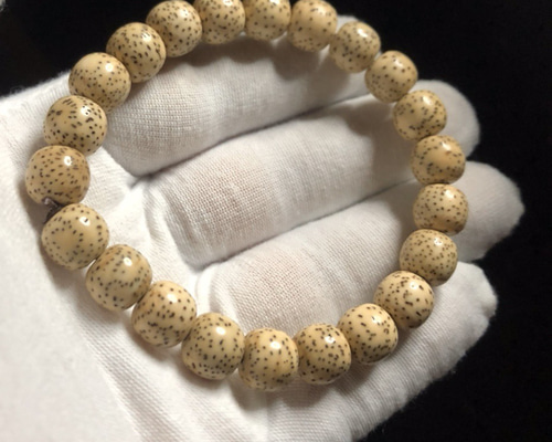 b12781d882afab6bae086c84787639