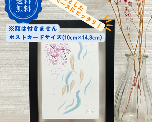 かめかめら展　フォトブック　ポストカード 写真展「青光芒」ポストカード3枚セット | sakophoto