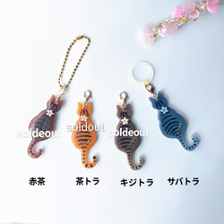 ネコちゃん⋆✦アンブレラマーカー みかん コウペンちゃん 文鳥ちゃんとオカメインコちゃんなアンブレラ