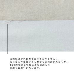  第4張的照片