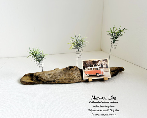 流木⁎✧✧お洒落なエアプランツ ホルダー＆写真立て フォトフレーム