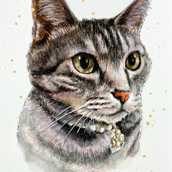専用　色鉛筆画　猫　猫の絵　オーダーページです♪ 専用 色鉛筆画 猫 猫の絵 オーダーページです♪