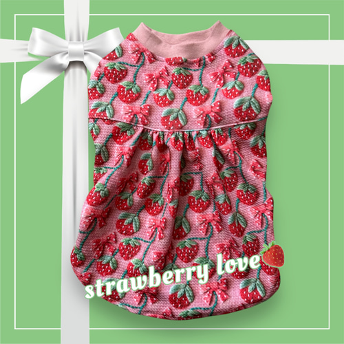 犬服ハンドメイド☆ 【いちご柄ワンピース】