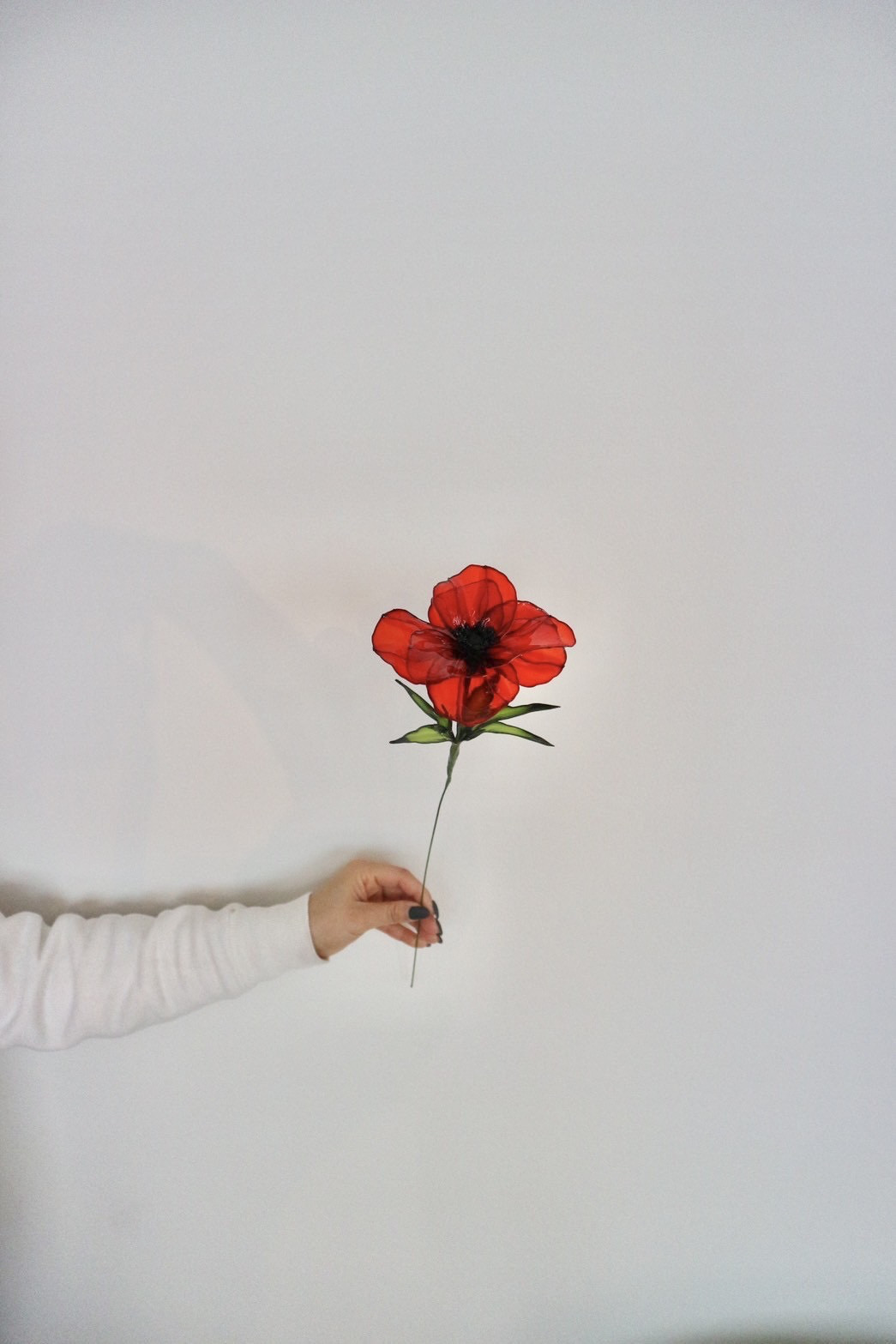 のんちゃん ディップフラワーアネモネ のんちゃん ディップフラワーアネモネ