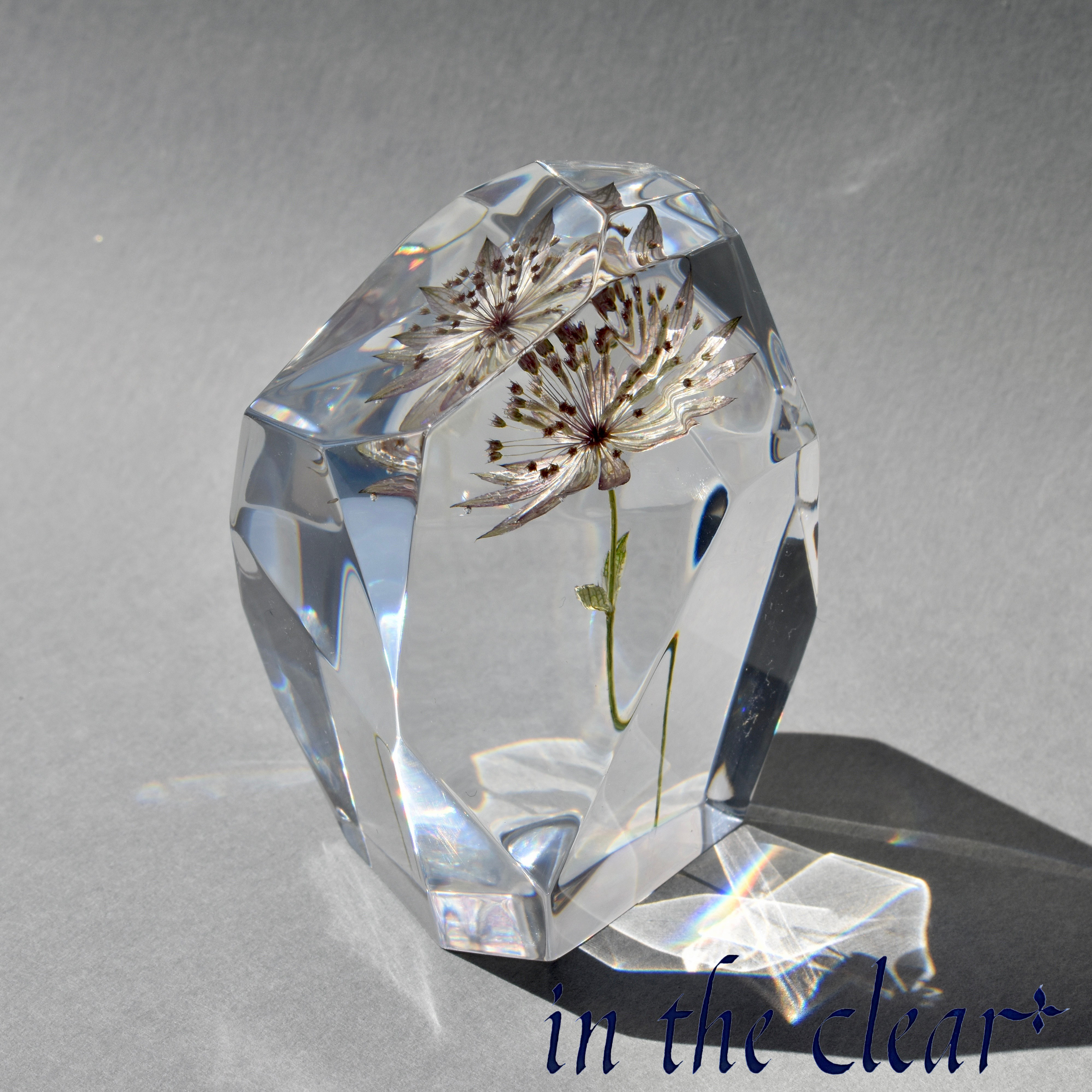 植物標本　アストランティア　薄紫　レジン　鉱石型