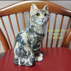 ウィンスタンレイキャット（ケンジントンキャット）サイズ4の