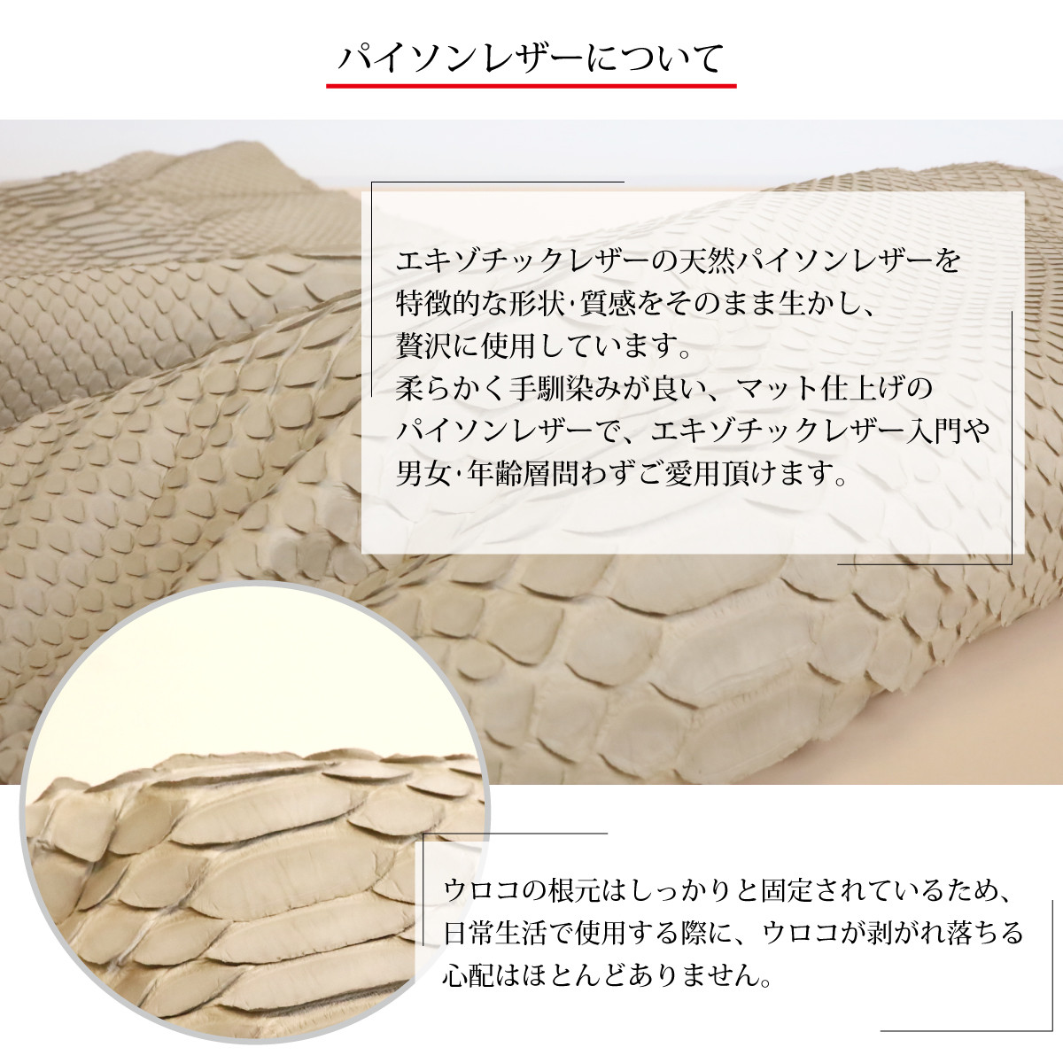 【パイソンナチュラル/モンスターmini】高級感ある薄くて軽い/思わず誰かに見せたくなるモンスターL字ミニ財布