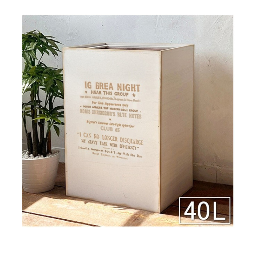 おしゃれ ゴミ箱 45L ダストボックス No.5  BREA-1599-5