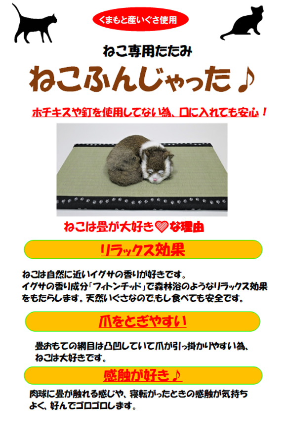 ねこ専用畳”ねこふんじゃった” 8枚目の画像