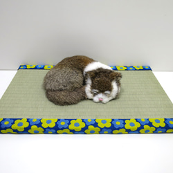 ねこ専用畳”ねこふんじゃった” 1枚目の画像