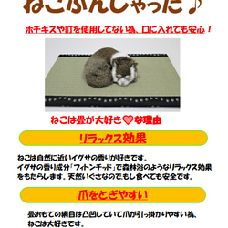 ねこ専用畳”ねこふんじゃった” 9枚目の画像